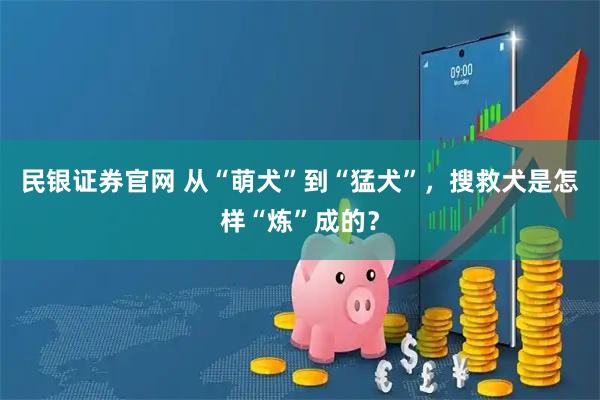 民银证券官网 从“萌犬”到“猛犬”，搜救犬是怎样“炼”成的？