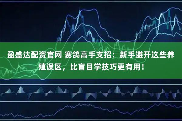 盈盛达配资官网 赛鸽高手支招：新手避开这些养殖误区，比盲目学技巧更有用！
